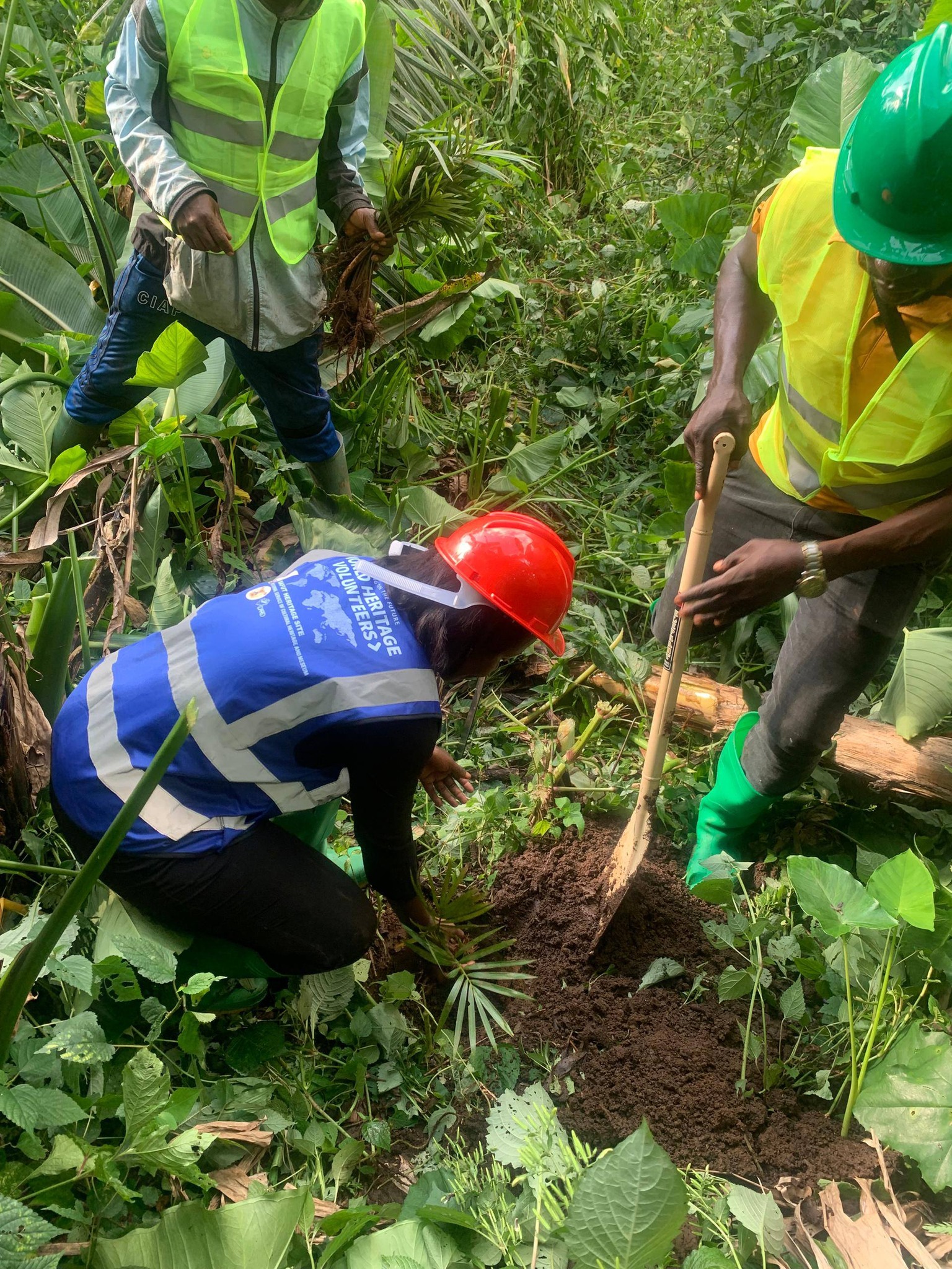 Volunteers preparing the ground