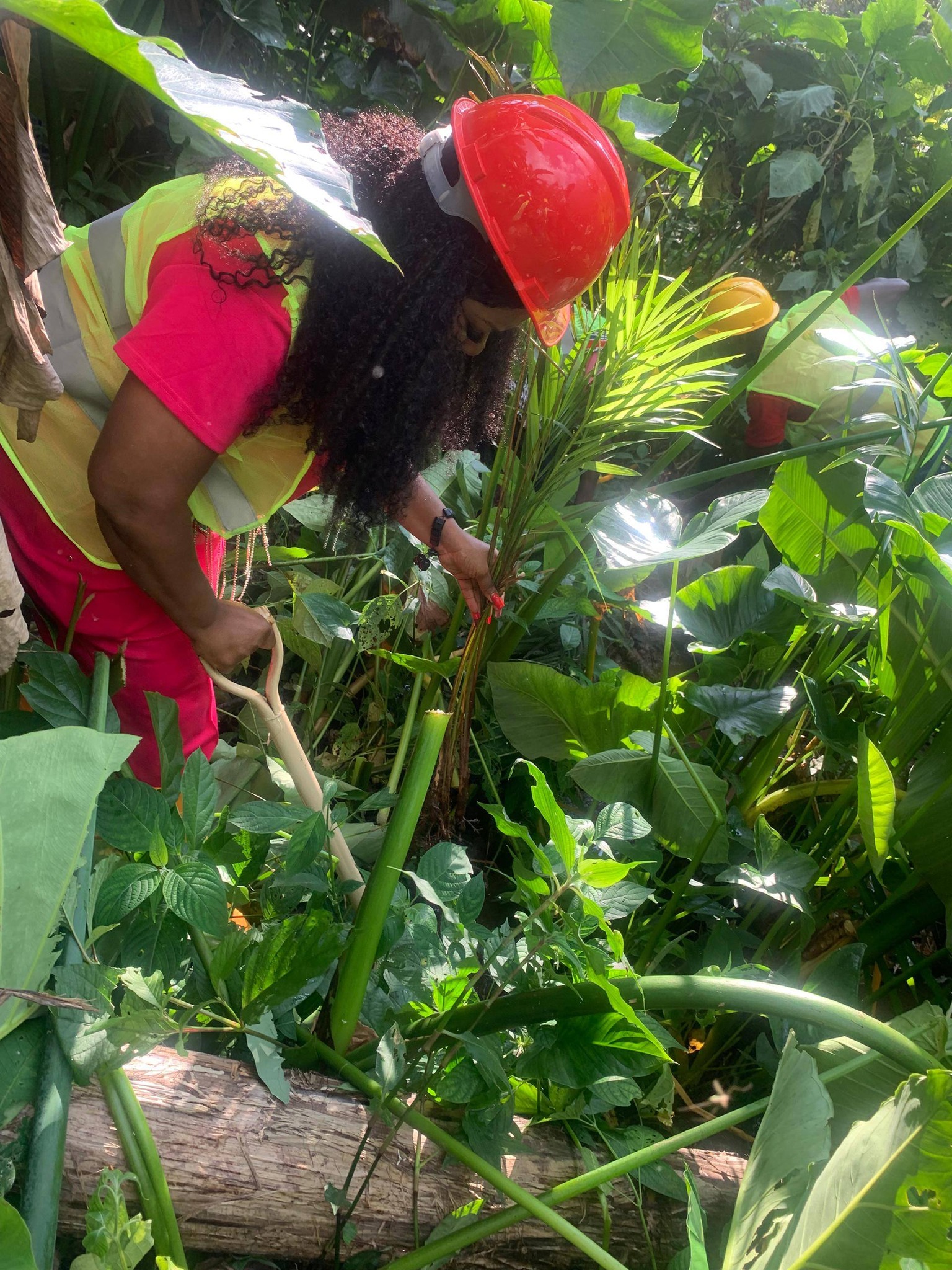 Community members working together